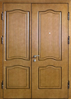 Дверь двустворчатая ДВ-1029